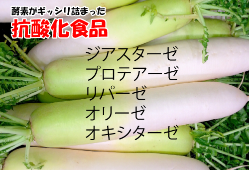 大根酵素