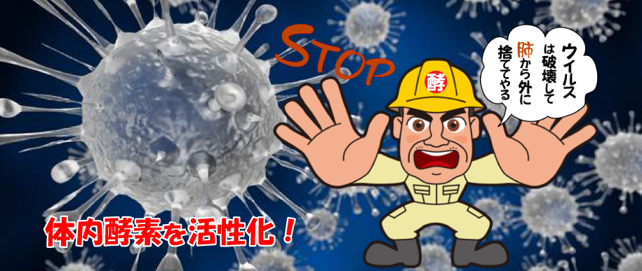 体内酵素